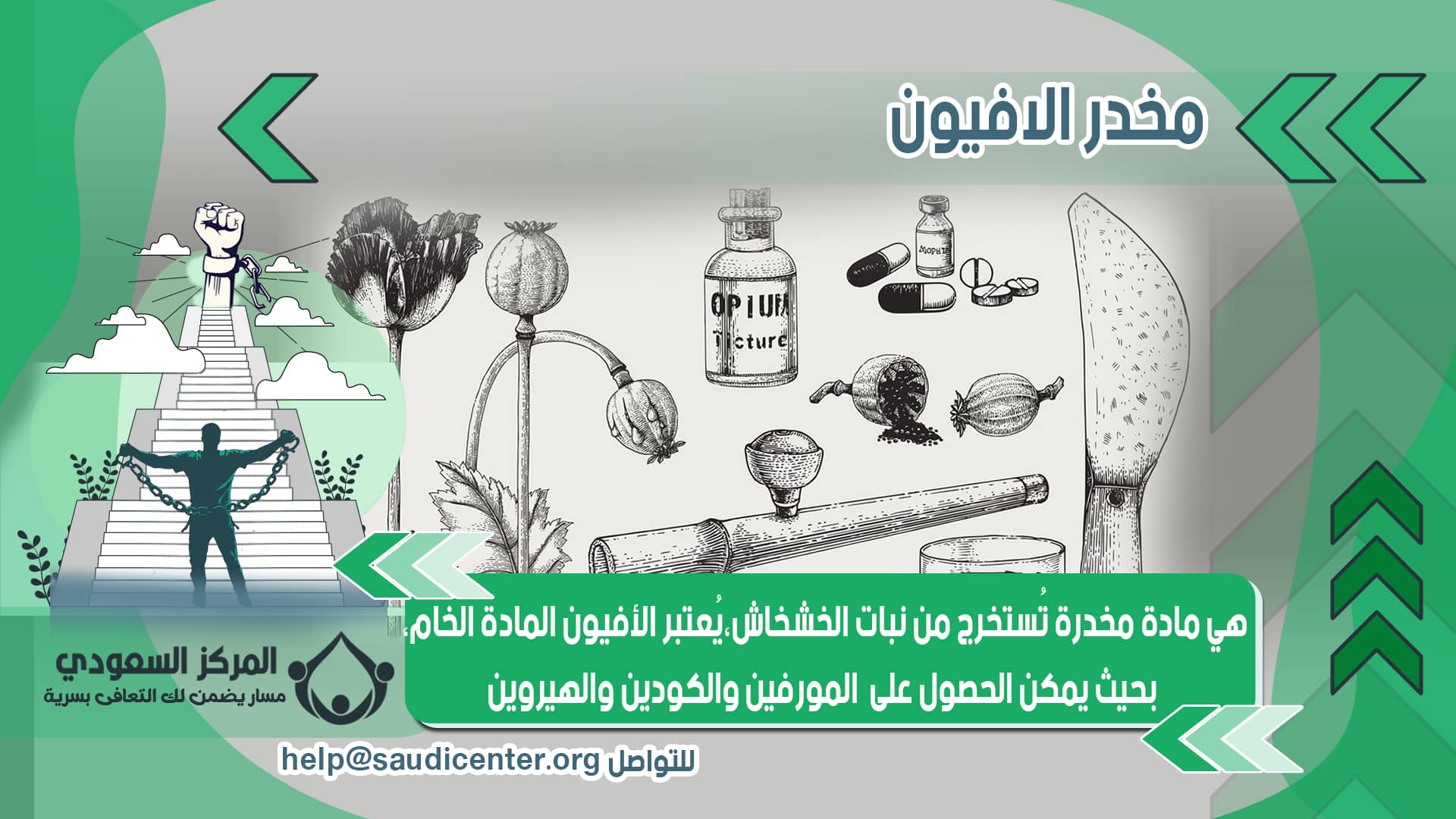 توعية بمخاطر الأفيون ومشتقاته من المركز السعودي للتعافي، مع شرح لمصدره من نبات الخشخاش